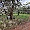 RIVERSIDE TENT/ CARAVAN SITE 4
