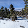 Pine View Ranch