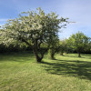 Orchard Tenting