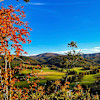 Mountain Top
