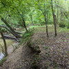 Quail Run at Pate's Creek
