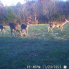Deer Field View