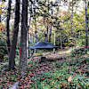 Hellbender Hangout