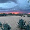 A Place to Stay - AZ