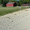 Site 3 - Camp Ames