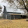 King Farm