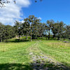 Creek flat