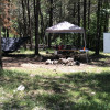 Site 6 - The Farm - Billy Camp (primitive )