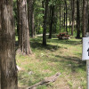 Site 10 - The Farm - Billy Camp (primitive )