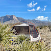 Ocotillo Grande