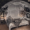 The Chrysalis