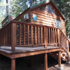 #9 Loft Cabin