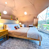 Dome #1 - Modern/Luxury