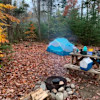 Bear Hollow