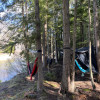 Riverfront Hammocks in Forest Trees