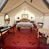 Cosmos Glamping Tent