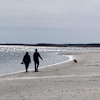 Ocean Sound 