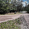Place to Park @ Ferns in the Forest