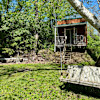 Creekside Cabin