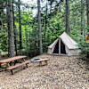 Moose Forest (20amp Hookup)