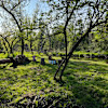 Riverside Refresh 