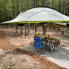Tree Tent site