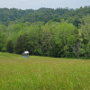 Streamside Tent Site