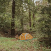 Site 1 - Redwood Forest Tenting