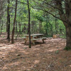 Site 4 - WyoFarm Field Camping