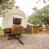Conestoga Wagon
