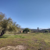 Palo Verde: Group Tent Site