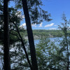 Hidden Forest Lake Vista