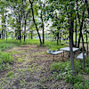31 - Tent Sites - Electric Only (20