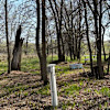 34 - Tent Sites - Electric Only (20