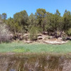 Site 20 - Padilla Ranch Springs