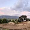 Tent Camp 3