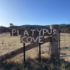 Platypus Cove