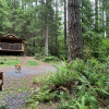 Mini Forest Cabin 3