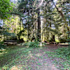 Mystic Forest Tent Site #5
