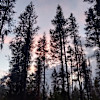 Camping Getaway Near Crater Lake