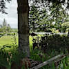 Upper Lawn A
