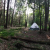 #7 Main trail tent site 