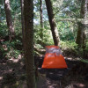 Forest Campsite: Diameter 