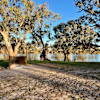 Billabong Campsite for a family