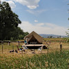 Cottonwood Camp