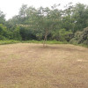 Rural Site 