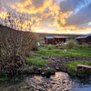 Needle Creek Family Cabin