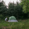 Pine Forest Camping