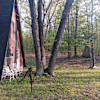 The A-Frame