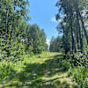 Group camp (3 RVs) with lake access